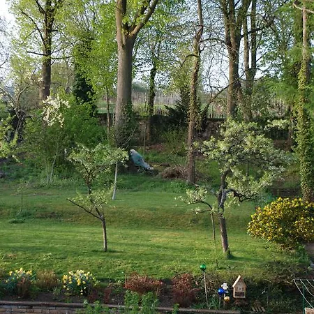 La Maison De Georges - Les Coquelicots * Scharrachbergheim-Irmstett