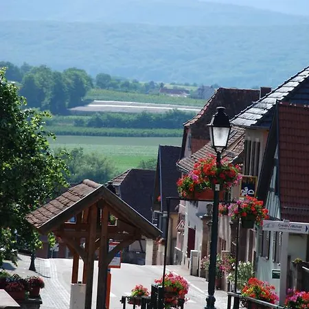 La Maison De Georges - Les Coquelicots Dom wakacyjny Scharrachbergheim-Irmstett